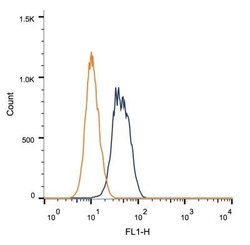 BRCA1 Antibody (RAY) - Azide and BSA Free, Novus Biologicals 0.1 mL; Unconjugated:Antibodies,